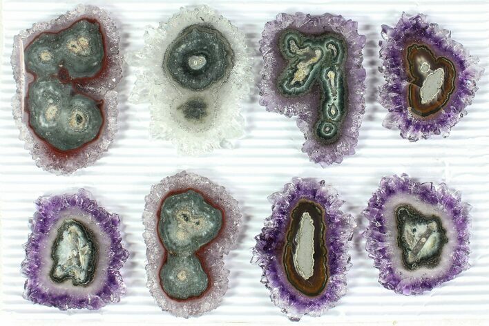 Lot: to Amethyst Stalactite Slices ( Pieces) #77705